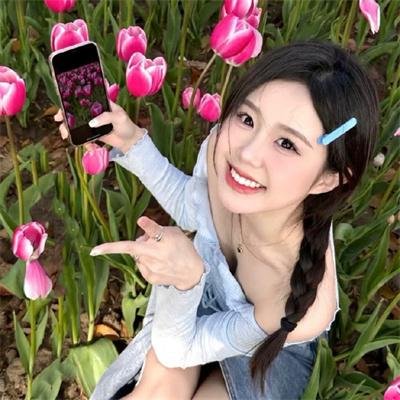 豺狼